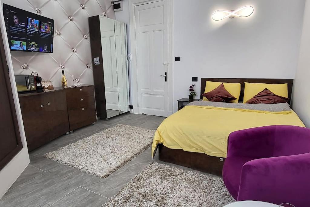 Garsoniera Centru Vechi English Park Крайова Экстерьер фото
